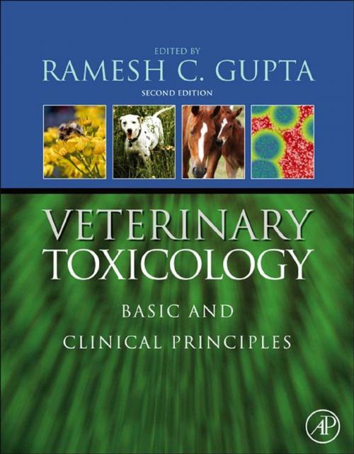 Cover of the book Veterinary Toxicology by , Elsevier Science