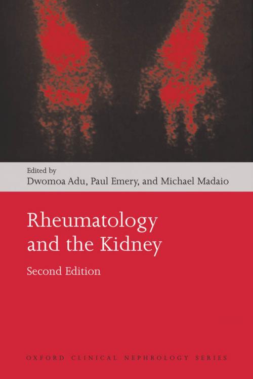 Cover of the book Rheumatology and the Kidney by , OUP Oxford