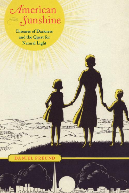 Cover of the book American Sunshine by Daniel Freund, University of Chicago Press