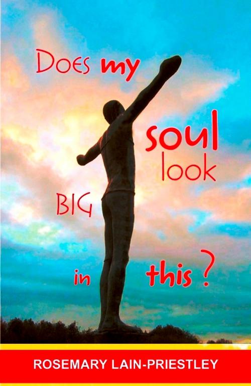 Cover of the book Does My Soul Look Big in This? by Rosemary Lain-Priestley, SPCK