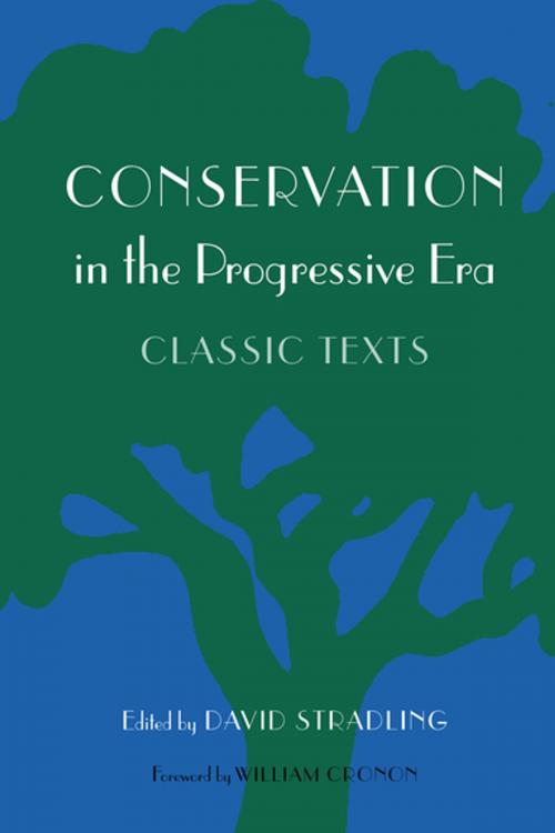 Cover of the book Conservation in the Progressive Era by , University of Washington Press