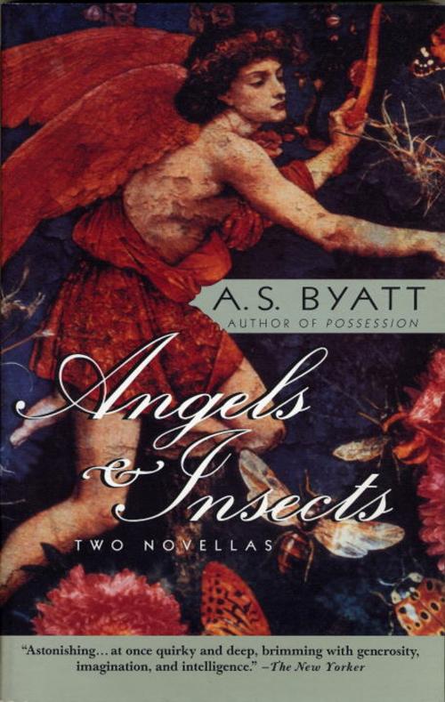 Cover of the book Angels & Insects by A. S. Byatt, Knopf Doubleday Publishing Group