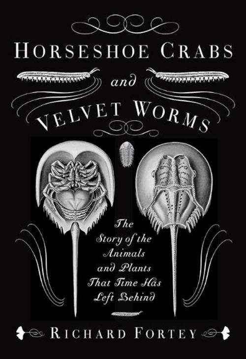 Cover of the book Horseshoe Crabs and Velvet Worms by Richard Fortey, Knopf Doubleday Publishing Group