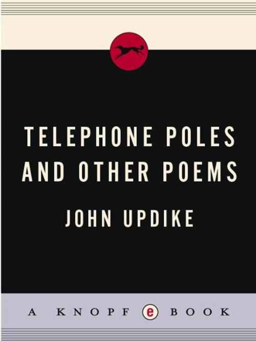 Cover of the book Telephone Poles and Other Poems by John Updike, Knopf Doubleday Publishing Group