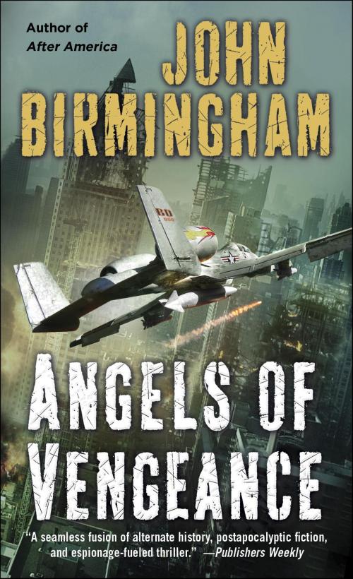 Cover of the book Angels of Vengeance by John Birmingham, Random House Publishing Group