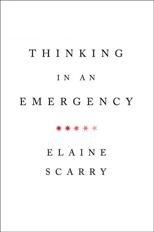 Cover of the book Thinking in an Emergency (Norton Global Ethics Series) by Elaine Scarry, W. W. Norton & Company
