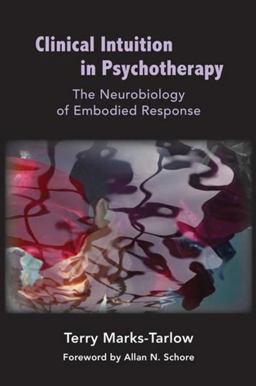 Cover of the book Clinical Intuition in Psychotherapy: The Neurobiology of Embodied Response (Norton Series on Interpersonal Neurobiology) by Terry Marks-Tarlow, W. W. Norton & Company