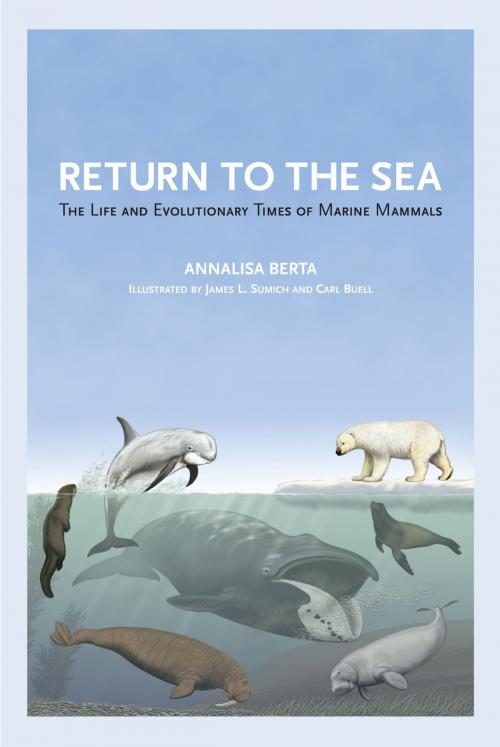 Cover of the book Return to the Sea by Annalisa Berta, University of California Press