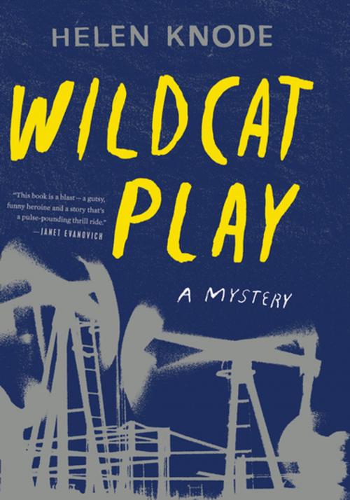Cover of the book Wildcat Play by Helen Knode, Houghton Mifflin Harcourt