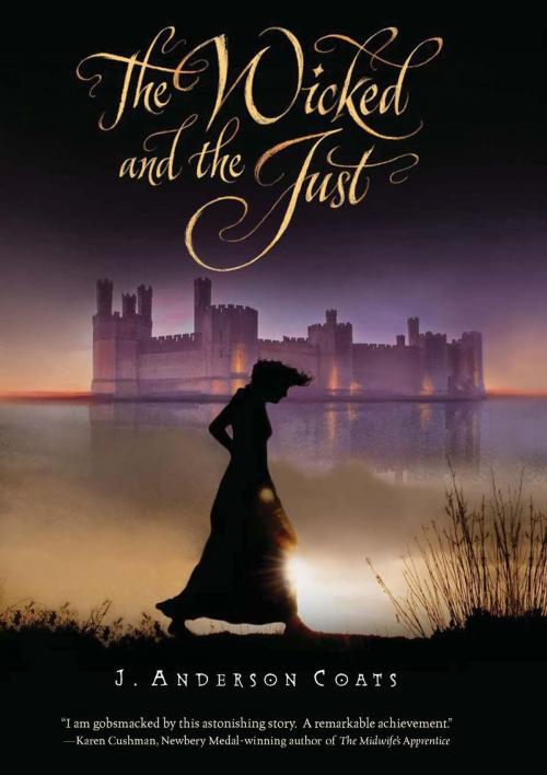 Cover of the book The Wicked and the Just by J. Anderson Coats, HMH Books