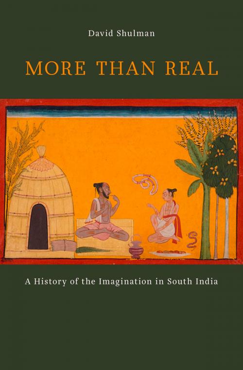 Cover of the book More than Real by David Shulman, Harvard University Press