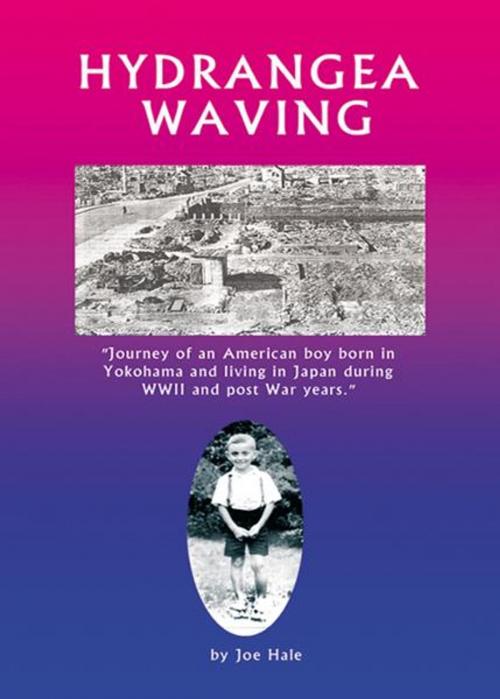 Cover of the book Hydrangea Waving by Joe Hale, Infinity Publishing