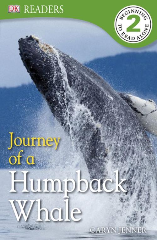 Cover of the book DK Readers L2: Journey of a Humpback Whale by Caryn Jenner, DK Publishing