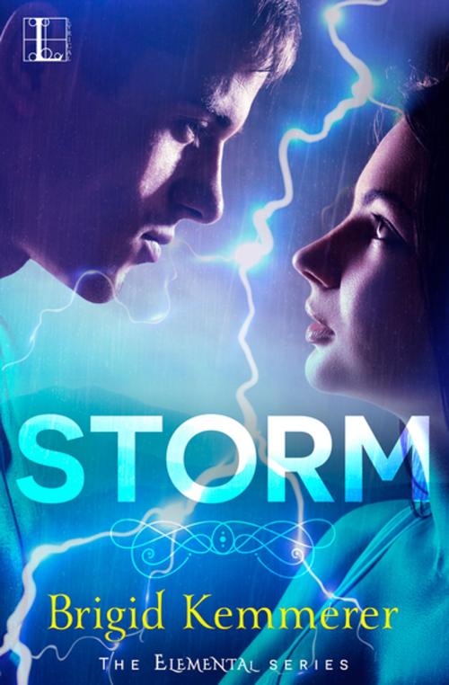 Cover of the book Storm by Brigid Kemmerer, Kensington