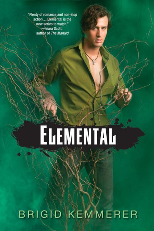 Cover of the book Elemental by Brigid Kemmerer, Kensington Books