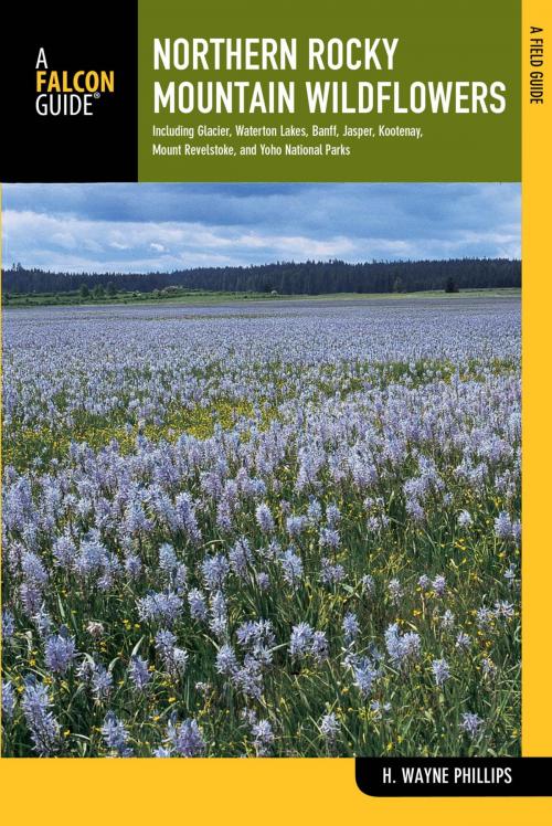 Cover of the book Northern Rocky Mountain Wildflowers by H. Wayne Phillips, Falcon Guides