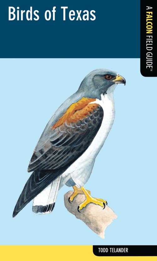 Cover of the book Birds of Texas by Todd Telander, Falcon Guides
