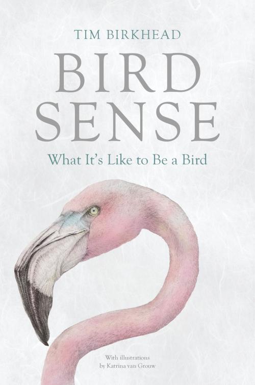 Cover of the book Bird Sense by Tim Birkhead, Bloomsbury Publishing