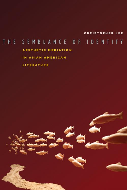 Cover of the book The Semblance of Identity by Christopher Lee, Stanford University Press