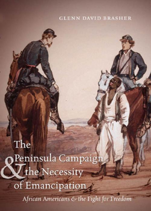 Cover of the book The Peninsula Campaign and the Necessity of Emancipation by Glenn David Brasher, The University of North Carolina Press
