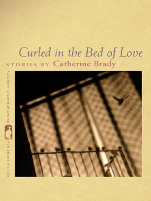 Cover of the book Curled in the Bed of Love by Catherine Brady, University of Georgia Press