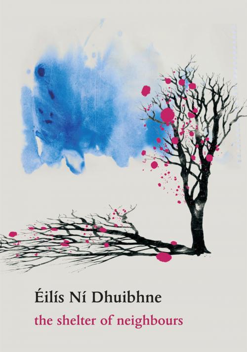 Cover of the book The Shelter of Neighbours: Fourteen Contemporary Irish Short Stories by Éilís Ní Dhuibhne, Blackstaff Press Ltd