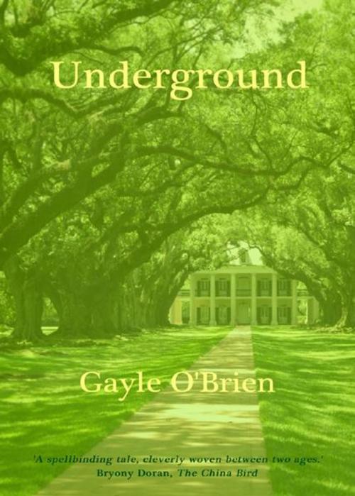 Cover of the book Underground by Gayle O'Brien, Bookline & Thinker