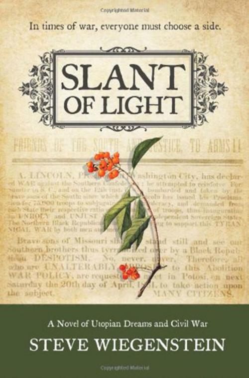 Cover of the book Slant of Light by Steve Wiegenstein, Blank Slate Press