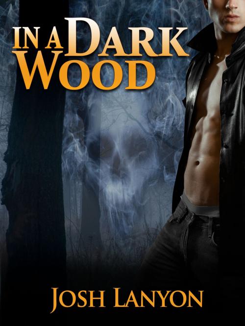 Cover of the book In a Dark Wood by Josh Lanyon, Josh Lanyon