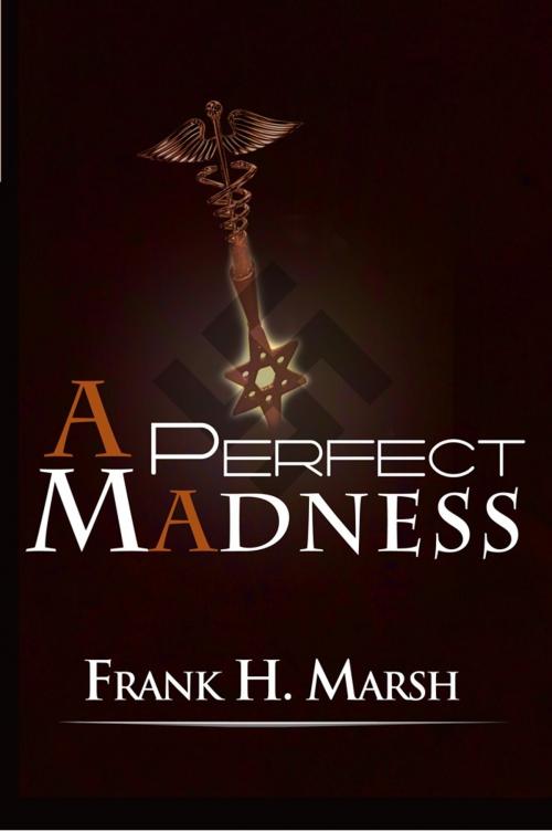 Cover of the book A Perfect Madness by Frank H. Marsh, Brandylane Publishers