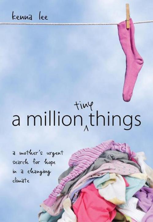 Cover of the book A Million Tiny Things by Kenna Lee, Mole's Hill Press