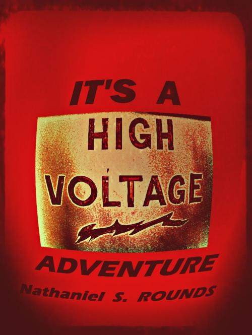 Cover of the book It’s a High Voltage Adventure by Fowlpox Press, Fowlpox Press