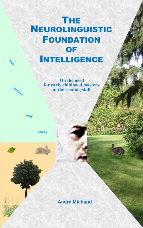 Cover of the book The Neurolinguistic Foundation of Intelligence by Andre Michaud, Andre Michaud