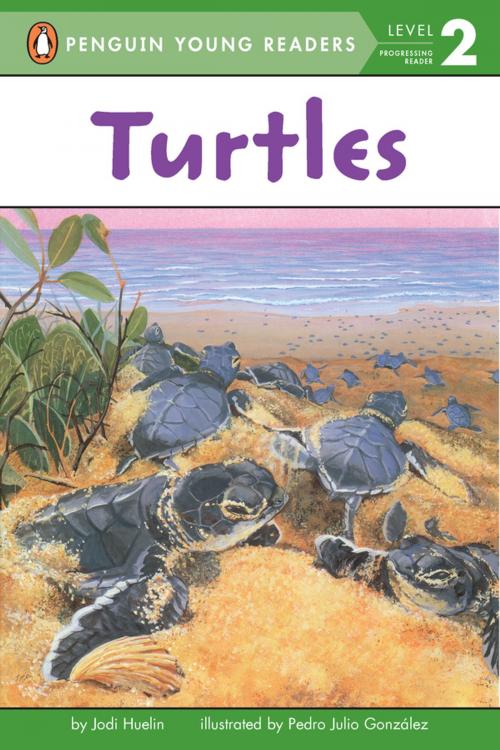 Cover of the book Turtles by Jodi Huelin, Penguin Young Readers Group