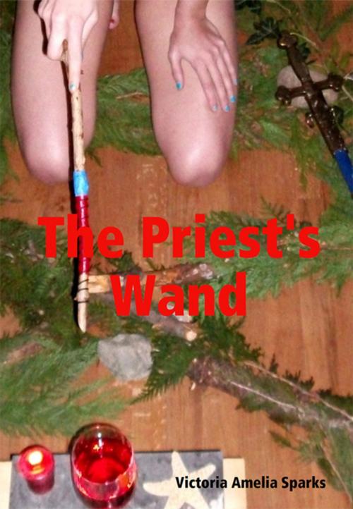Cover of the book The Priest's Wand by Victoria Amelia Sparks, Red Orchid