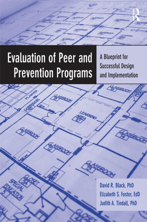 Cover of the book Evaluation of Peer and Prevention Programs by David R. Black, Elizabeth S. Foster, Judith A. Tindall, Taylor and Francis
