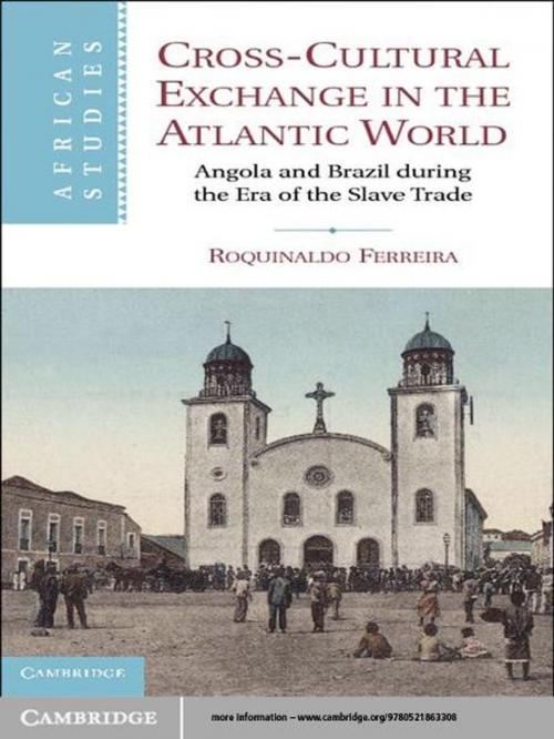 Cover of the book Cross-Cultural Exchange in the Atlantic World by Roquinaldo Ferreira, Cambridge University Press