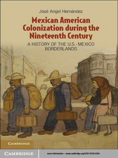 Cover of the book Mexican American Colonization during the Nineteenth Century by Professor José Angel Hernández, Cambridge University Press