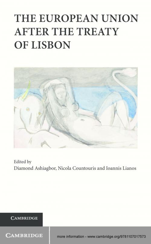Cover of the book The European Union after the Treaty of Lisbon by , Cambridge University Press