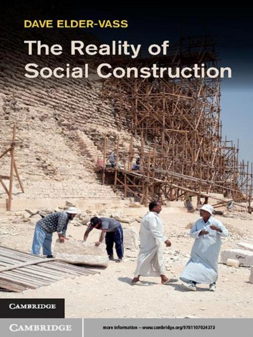 Cover of the book The Reality of Social Construction by Dave Elder-Vass, Cambridge University Press