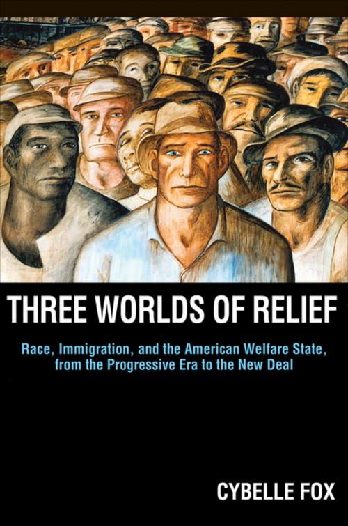 Cover of the book Three Worlds of Relief by Cybelle Fox, Princeton University Press