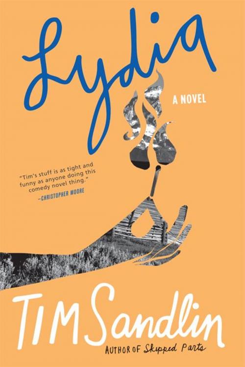 Cover of the book Lydia by Tim Sandlin, Sourcebooks