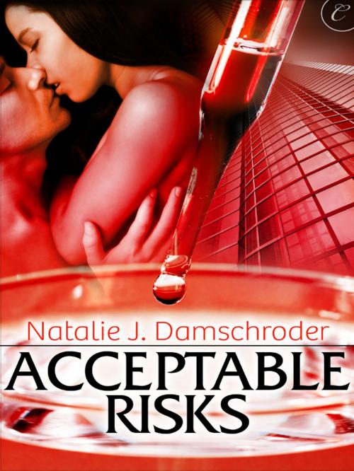 Cover of the book Acceptable Risks by Natalie J. Damschroder, Carina Press