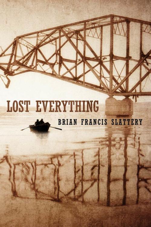 Cover of the book Lost Everything by Brian Francis Slattery, Tom Doherty Associates
