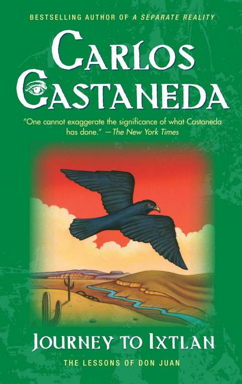 Cover of the book Journey To Ixtlan by Carlos Castaneda, Washington Square Press