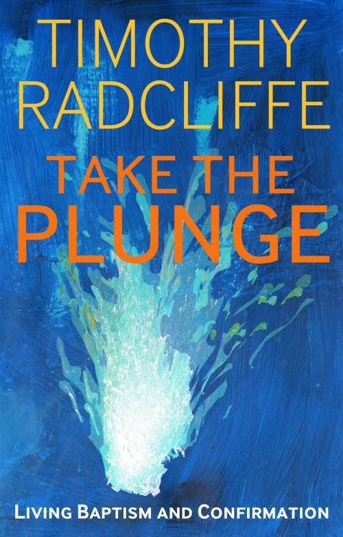 Cover of the book Take the Plunge by Timothy Radcliffe, Bloomsbury Publishing