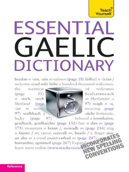 Cover of the book Essential Gaelic Dictionary: Teach Yourself by Boyd Robertson, Ian MacDonald, Hodder & Stoughton