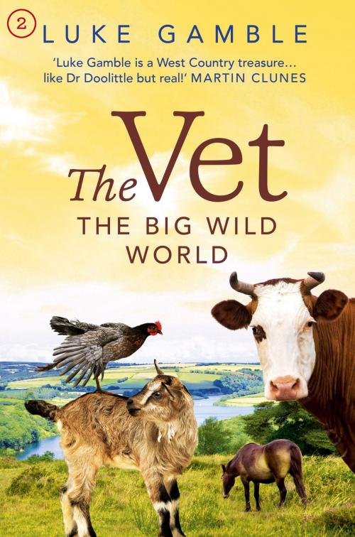 Cover of the book The Vet: the Big Wild World by Luke Gamble, Hodder & Stoughton