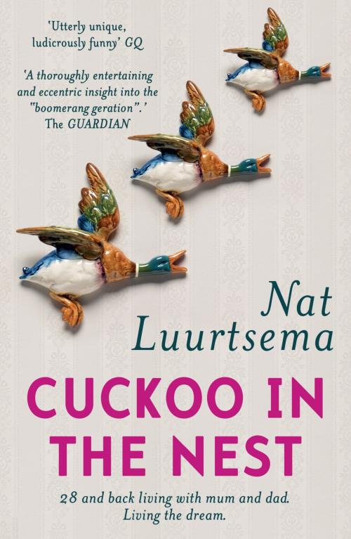 Cover of the book Cuckoo in the Nest by Nat Luurtsema, Hodder & Stoughton