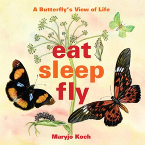 Cover of the book Eat, Sleep, Fly by Maryjo Koch, Andrews McMeel Publishing
